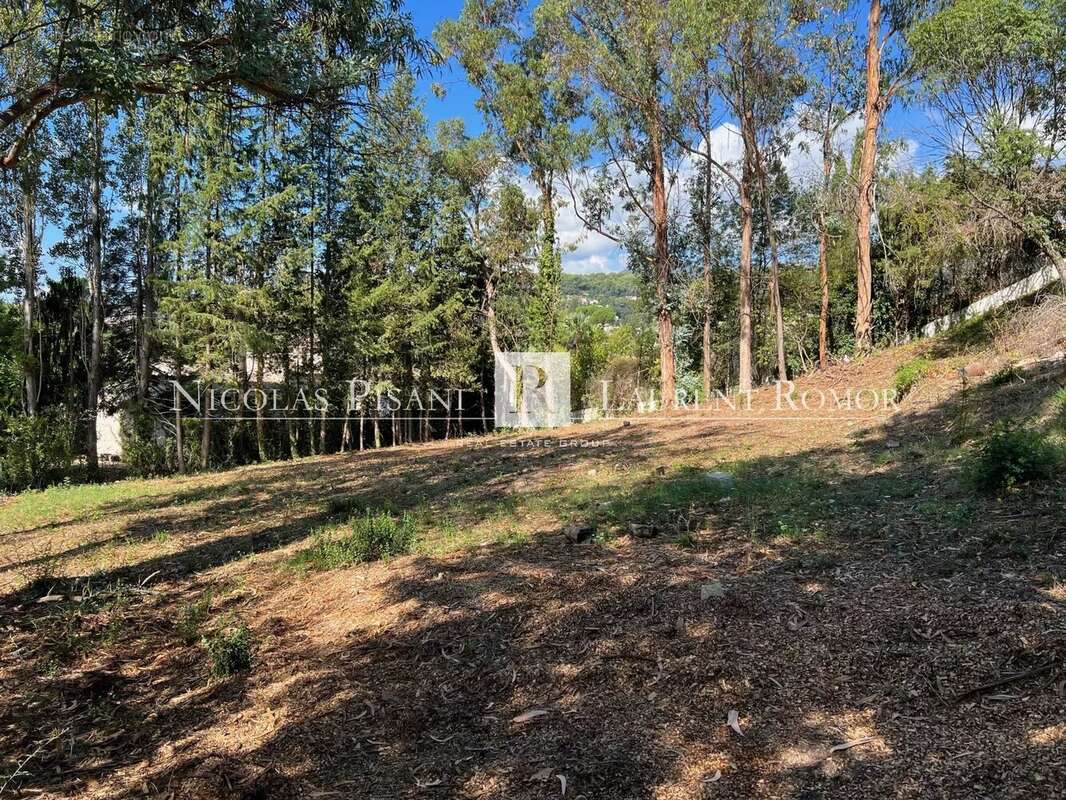 Terrain à SAINT-PAUL