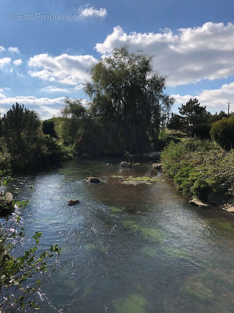Exceptionnel domaine en bord de rivière sur plus d'un hectare - photo 16