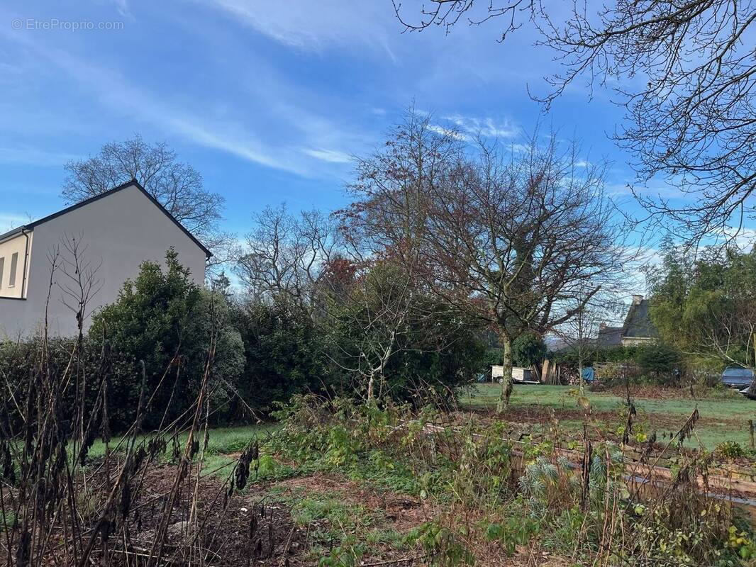 Terrain à TREILLIERES