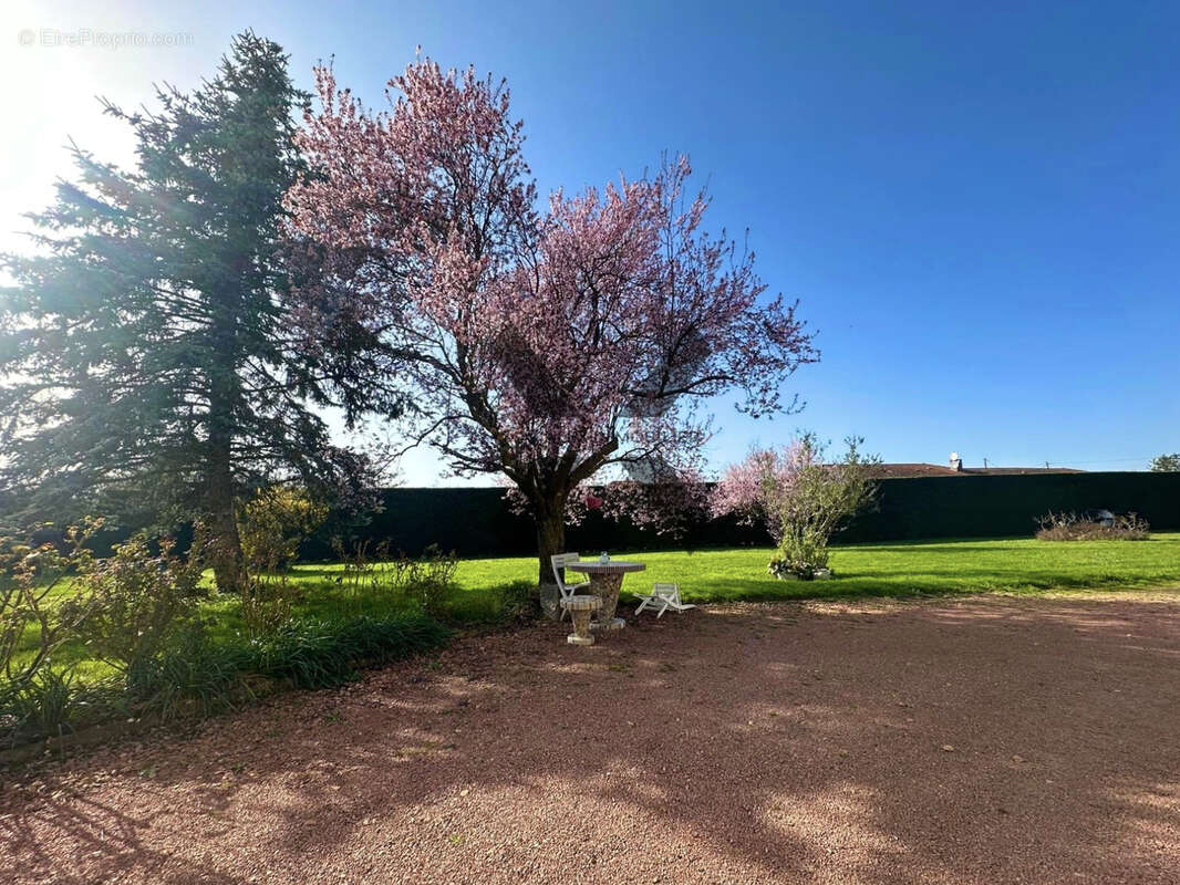 Maison à SAINT-VINCENT-DE-BOISSET