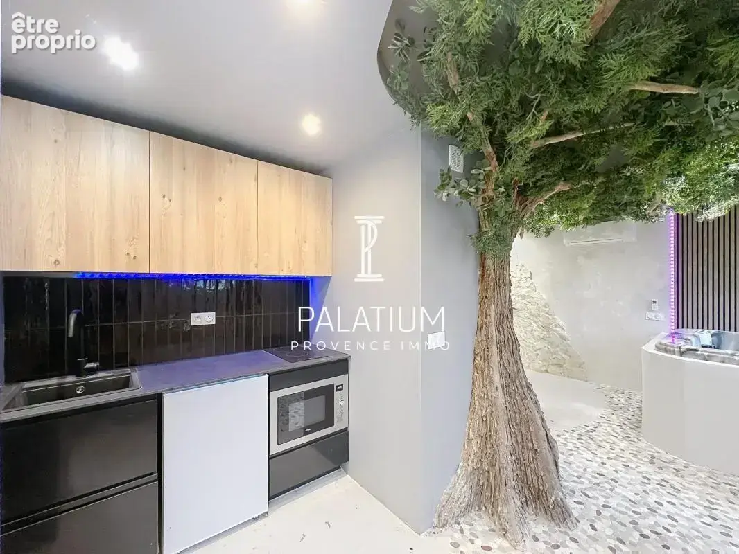 Appartement T2 entièrement rénové de 34 m² – L'Isle-sur-la-Sorgue, projet atypique - photo 10
