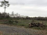 Terrain à VILLEFRANCHE-SUR-CHER