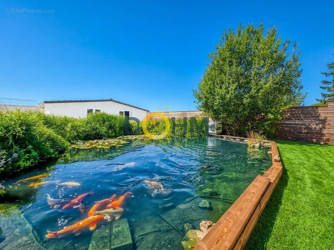 Havre de paix et sérénité absolue   Maison avec piscine et vue sur champs - photo 12