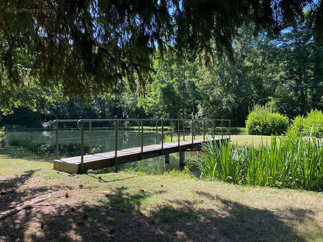 Etang Saint Lubin Des Joncherets - photo 8