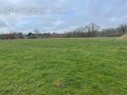 Terrain à SAINT-MARTIN-DE-GURSON