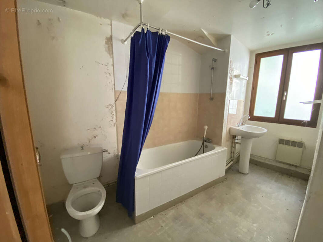 Maison à AILLANT-SUR-THOLON