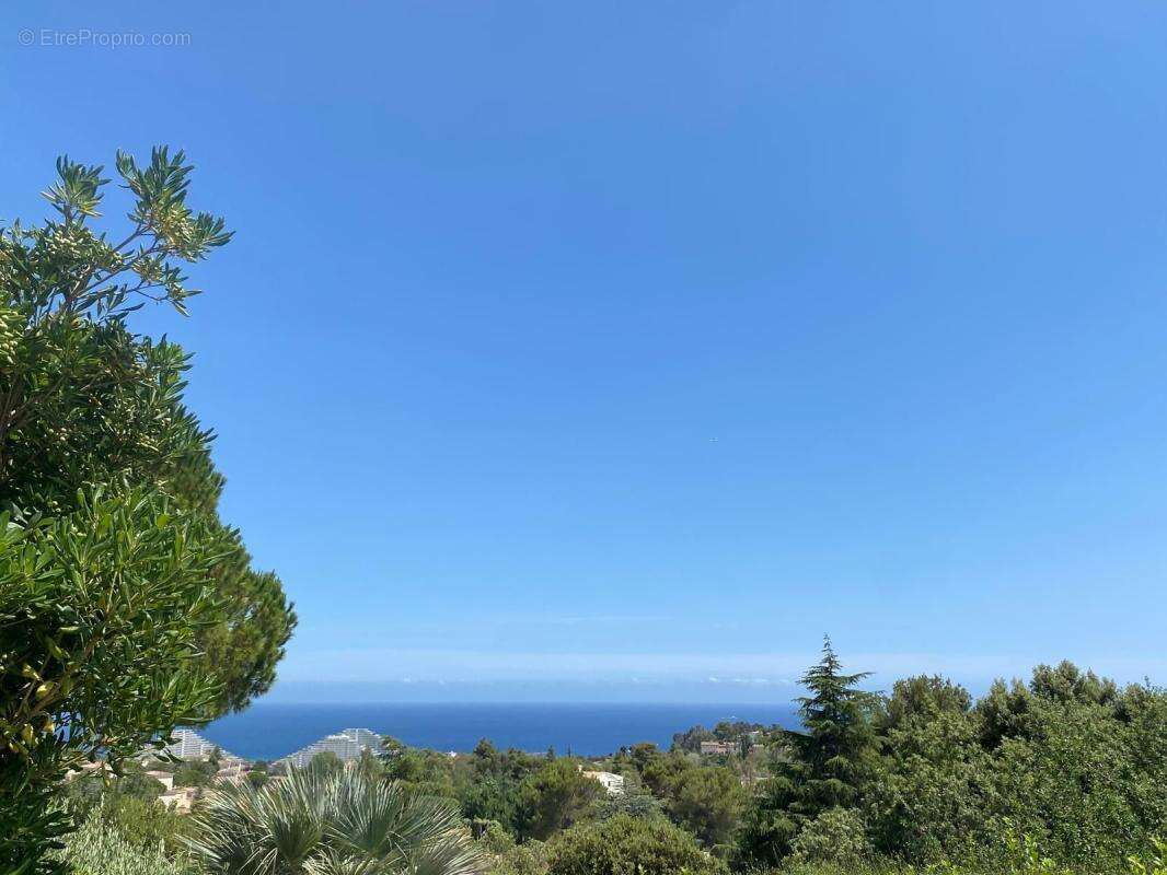 Maison à VILLENEUVE-LOUBET