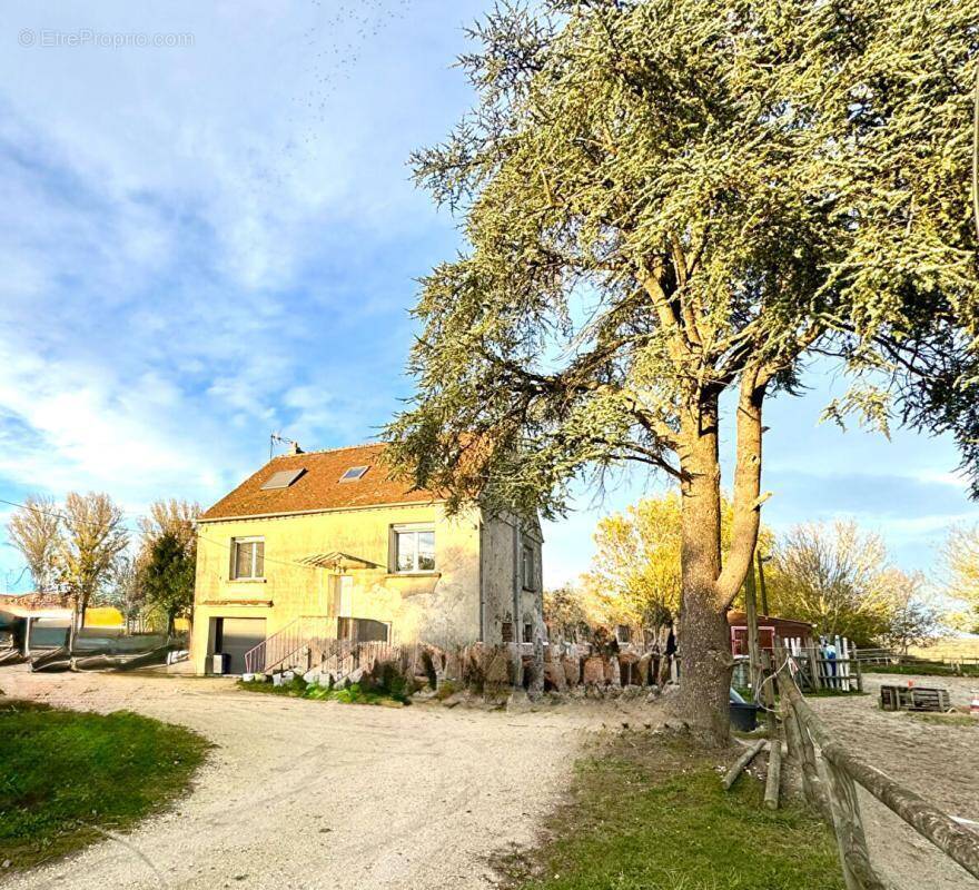 Maison à LA FERTE-GAUCHER