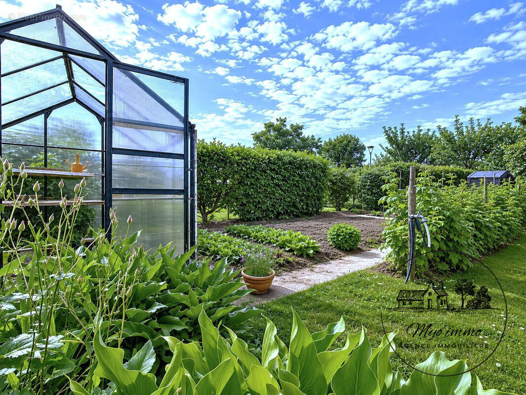 partie potager - Maison à BRAINS