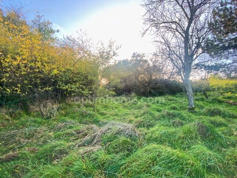 Terrain à VELAINE-SOUS-AMANCE