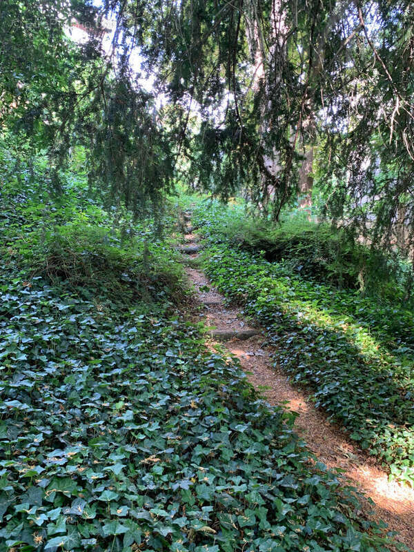 Appartement à SAINT-GERMAIN-EN-LAYE