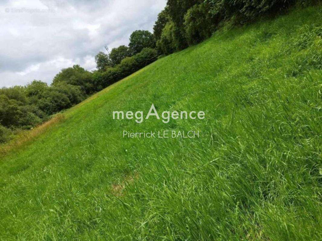 À vendre Maison en pierre rénovée de 112 m² à Plounérin - photo 4