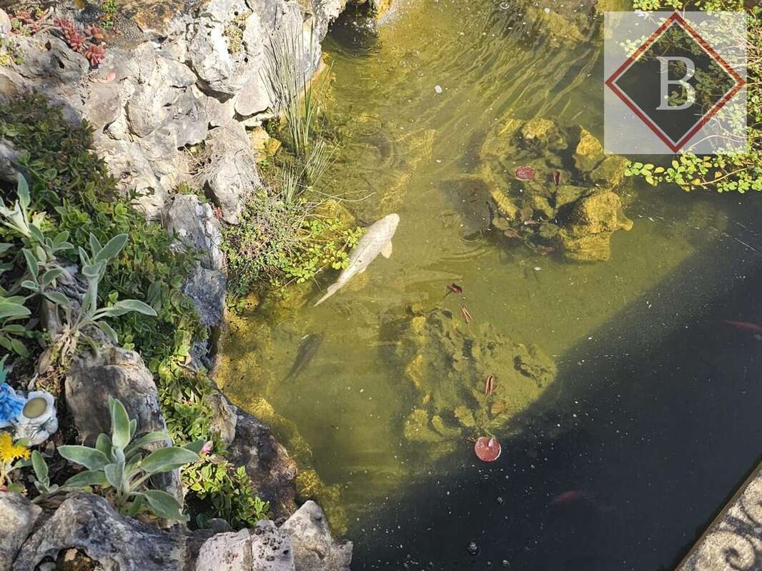 Maison à SAINT-CEZAIRE-SUR-SIAGNE
