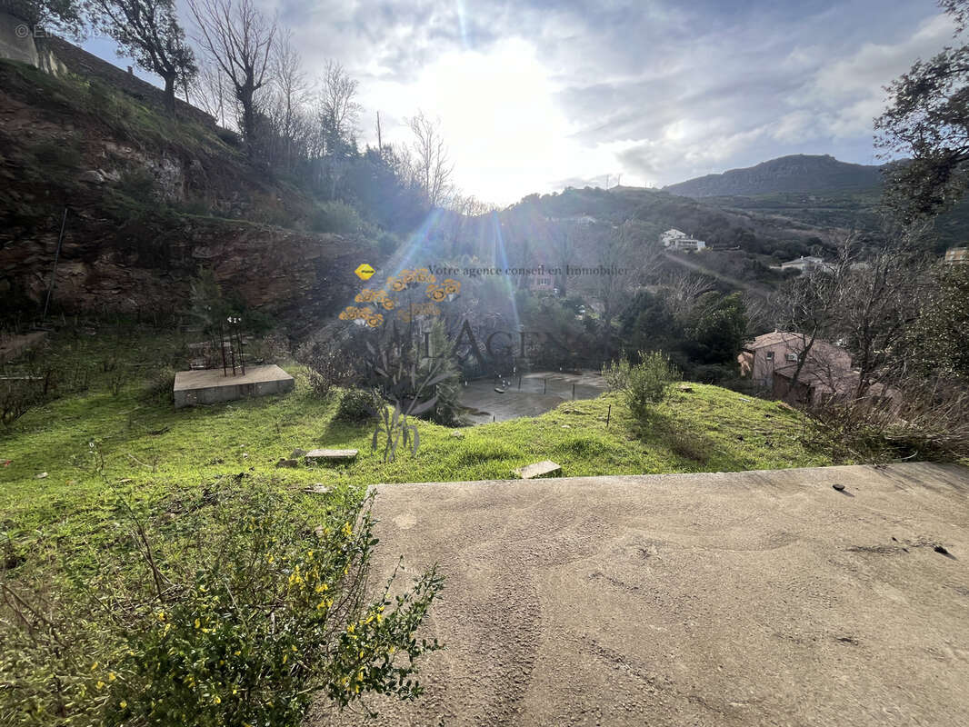 Terrain à SAN-MARTINO-DI-LOTA