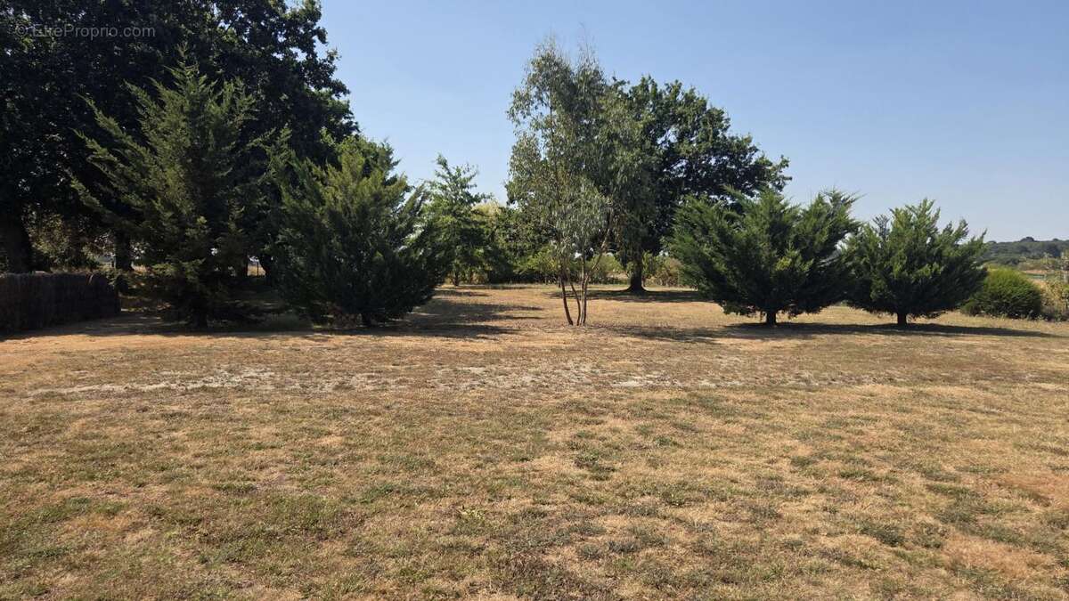 Terrain à GUERANDE