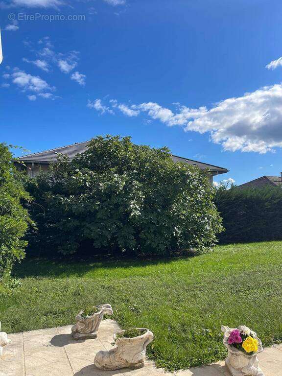 Maison à PREVESSIN-MOENS