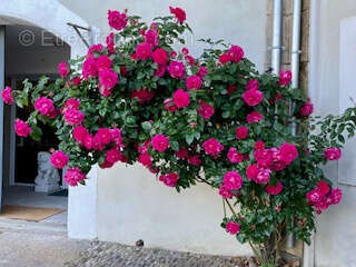 Maison à LA REDORTE