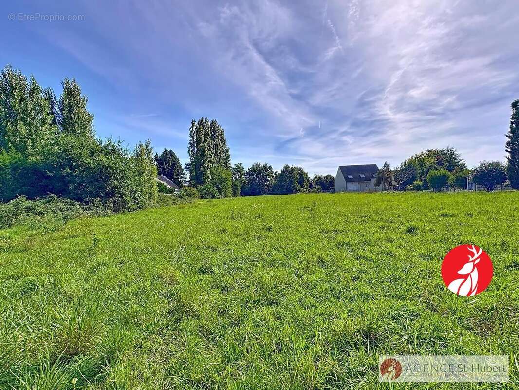 Terrain à ARBONNE-LA-FORET