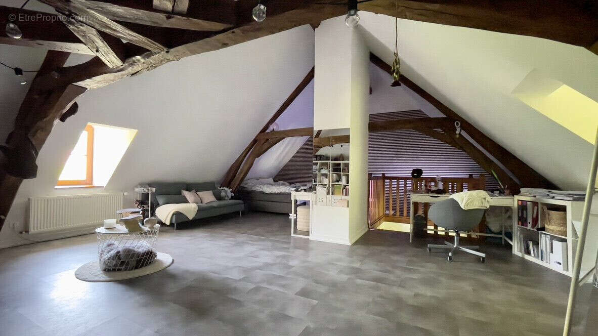 Maison 316 m² à Le Chatelet  - photo 9