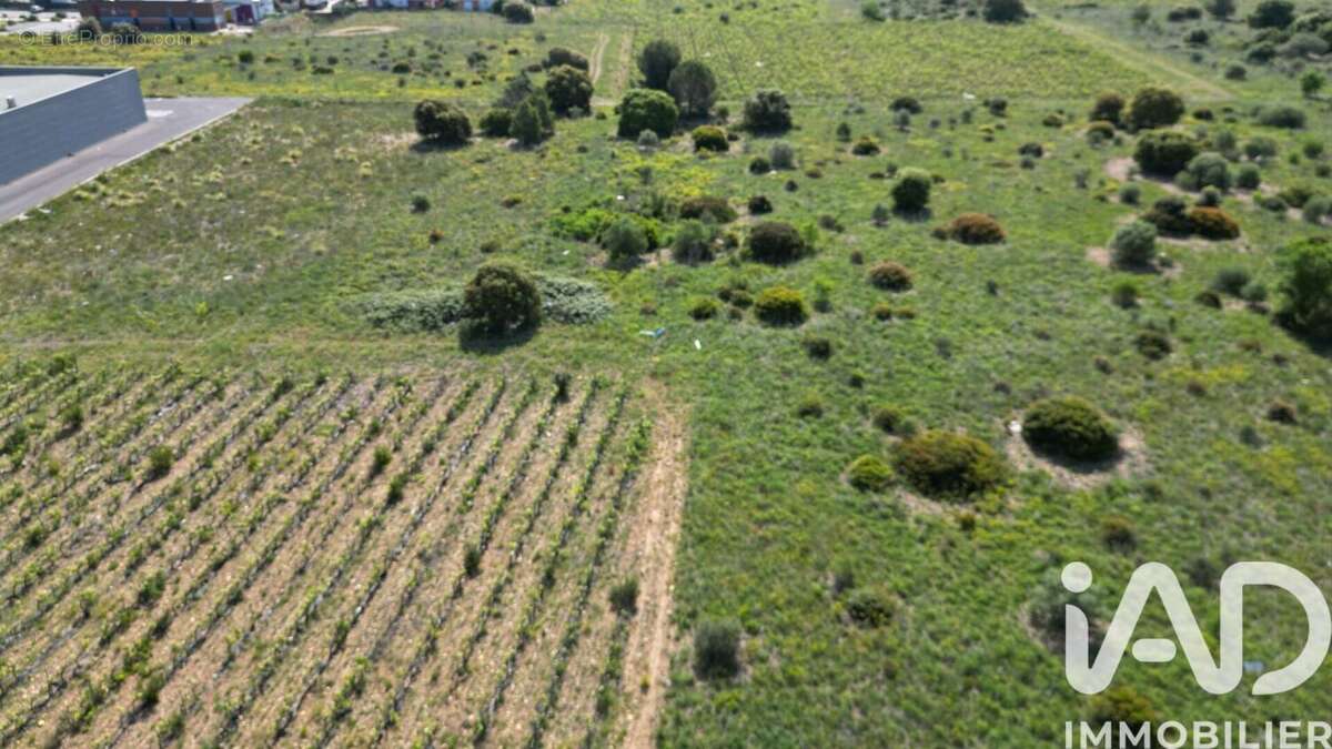 Photo 4 - Terrain à PERPIGNAN