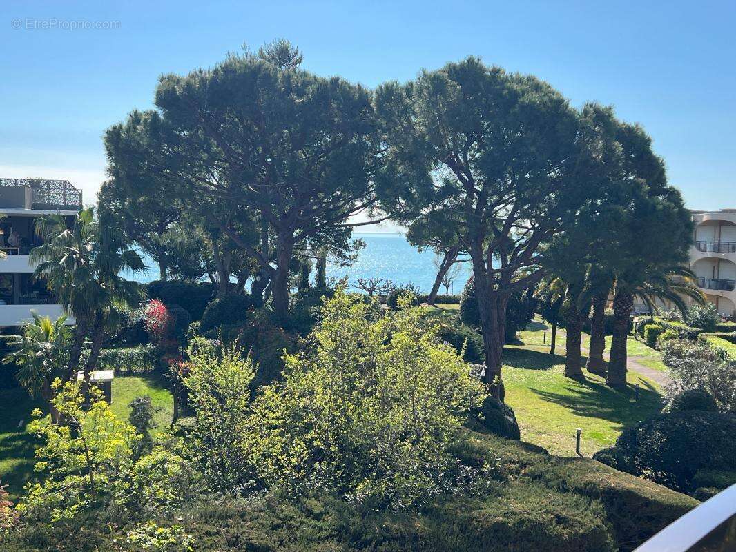 Appartement à VILLENEUVE-LOUBET