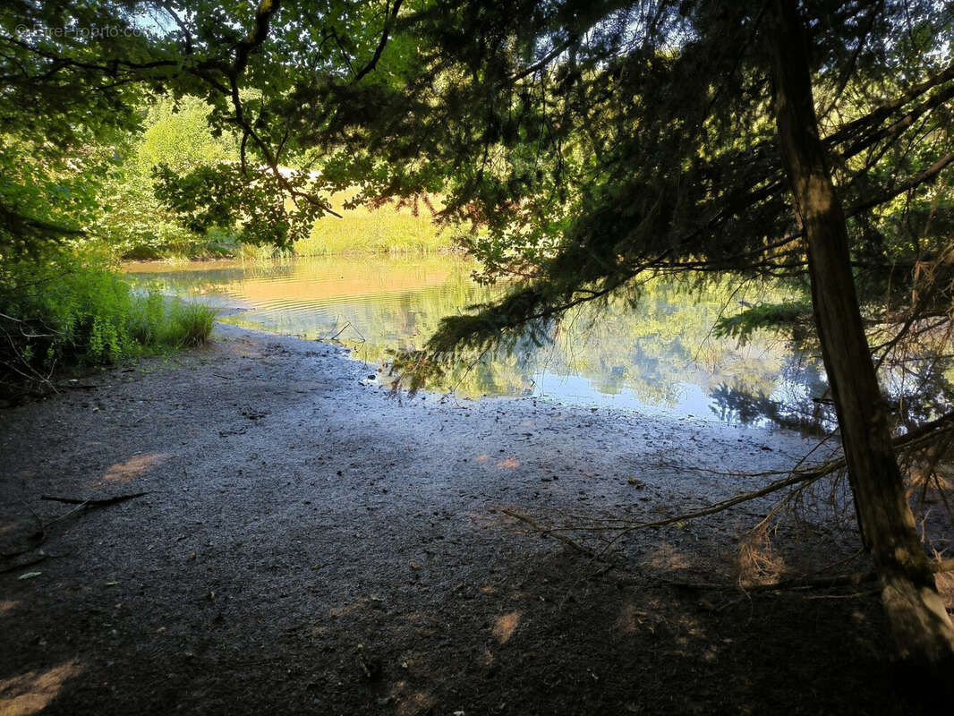 Terrain à SAINT-YRIEIX-LA-PERCHE