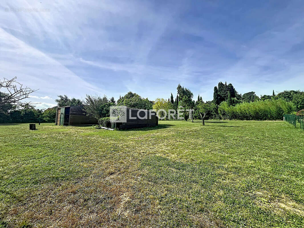 Terrain Thuir - photo 6