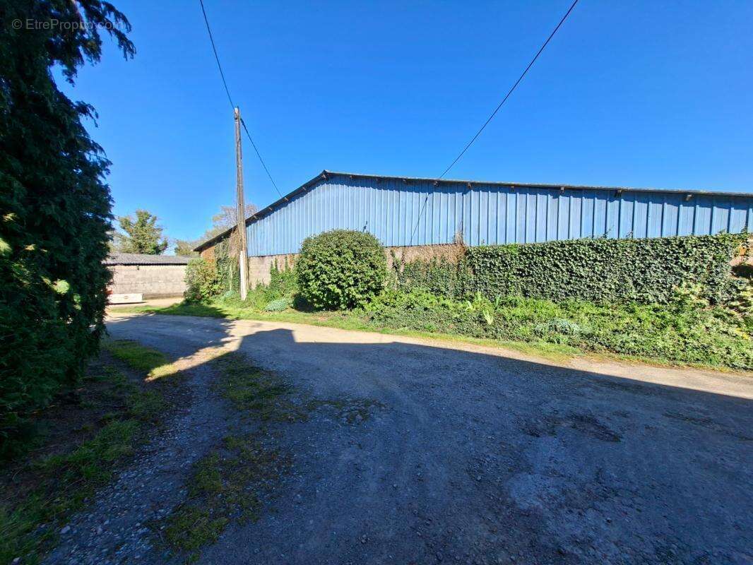 Propriété Corps de ferme SAINT DENIS DE GASTINES (53) - photo 18