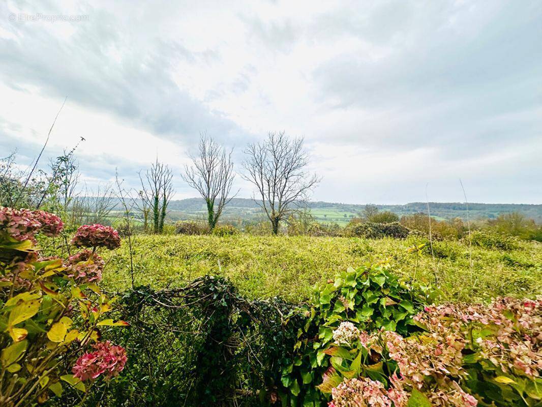 Terrain à MANNEVILLE-LA-PIPARD