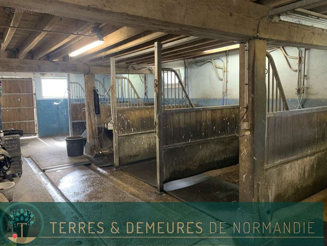 Dans le département de l'EURE, entre LIEUREY et PONT AUDEMER, A vendre en exclusivité un haras de 25 ha - photo 9