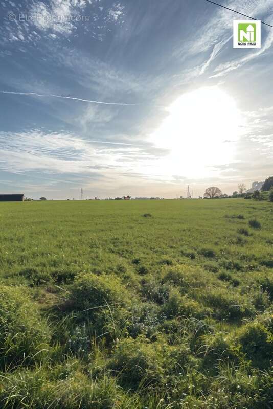 Terrain à AUCHY-LEZ-ORCHIES
