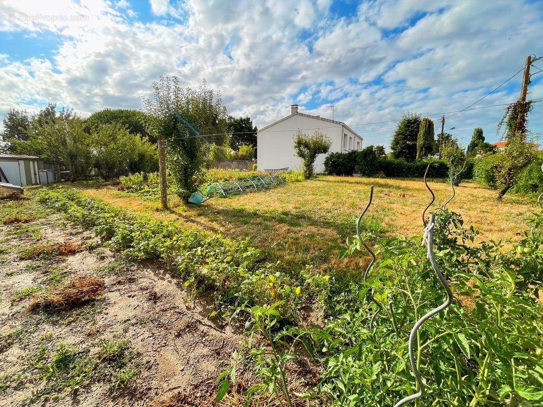 Terrain à L'ILE-D'OLONNE