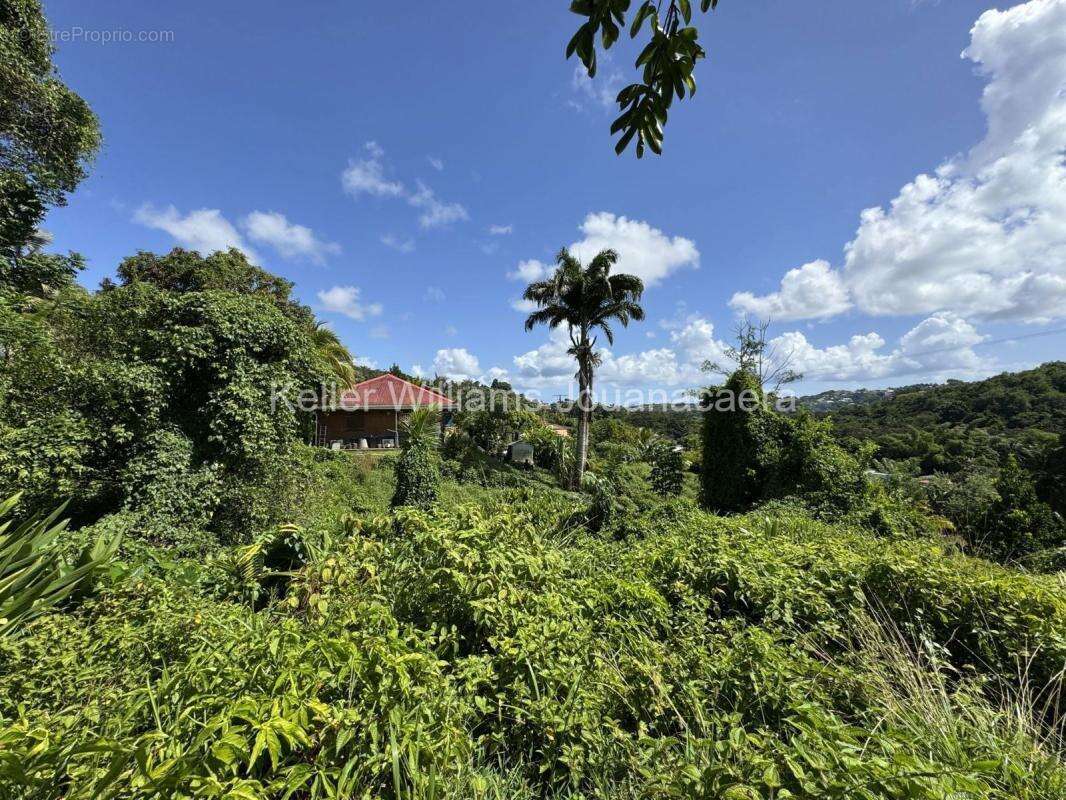 Terrain à SAINT-JOSEPH