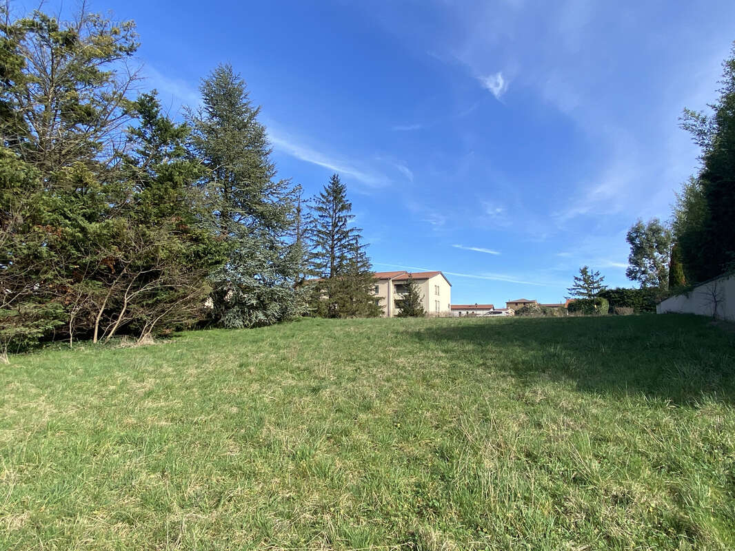 Terrain à bâtir de 2230 m2 à MARCY 69480 - photo 6