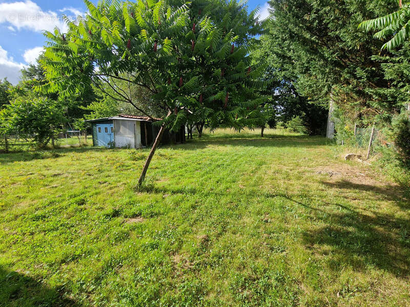 Maison à vendre 4 pièces MONTENDRE (17)- 77 m² habitables-Terrain 1 336 m² - photo 10