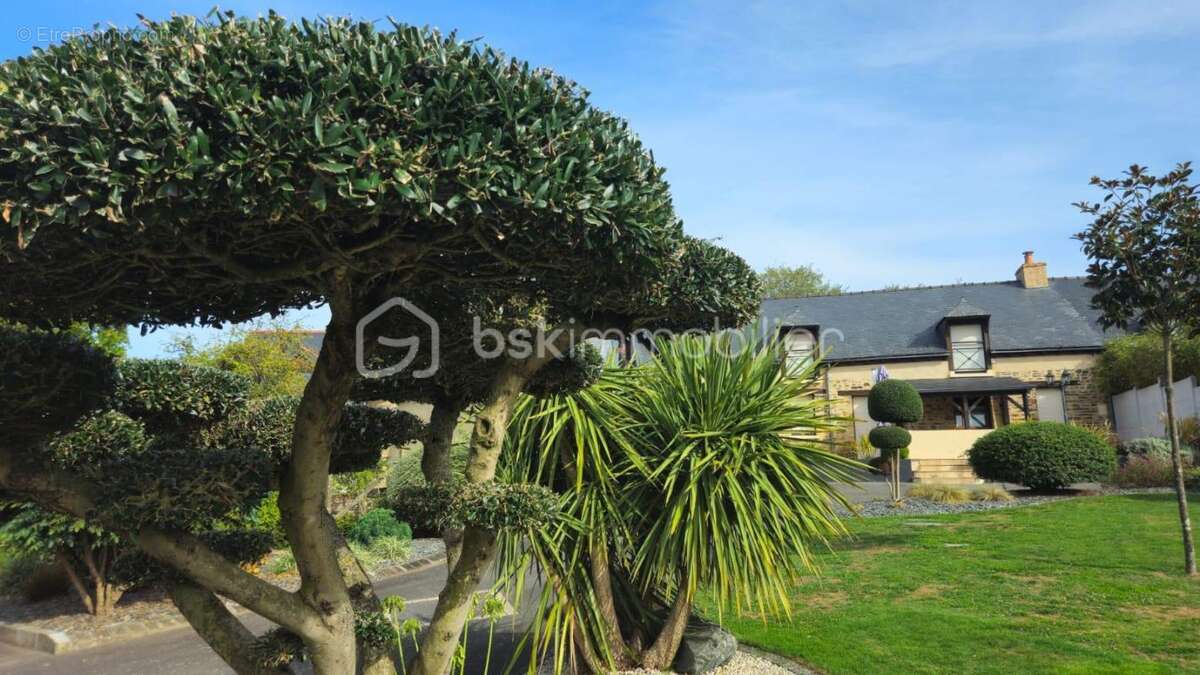 Maison à CHATEAUGIRON