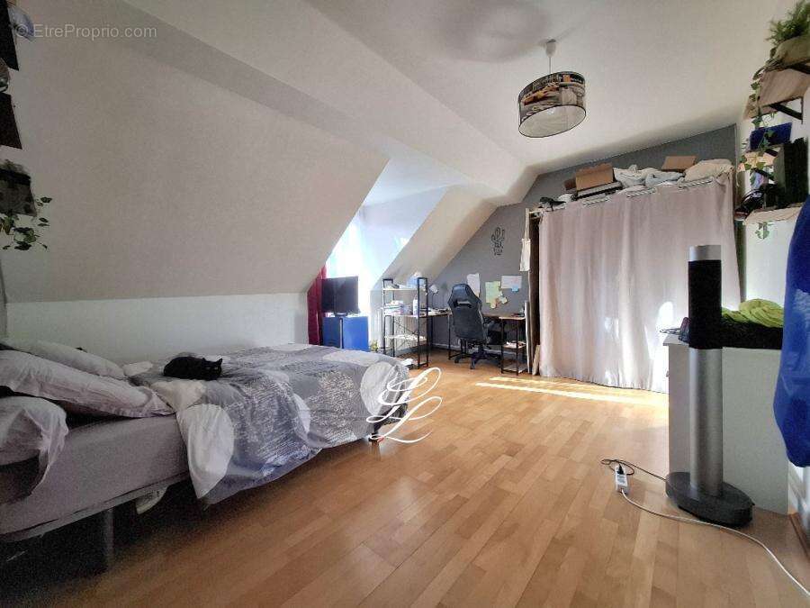 Maison à LE MANS