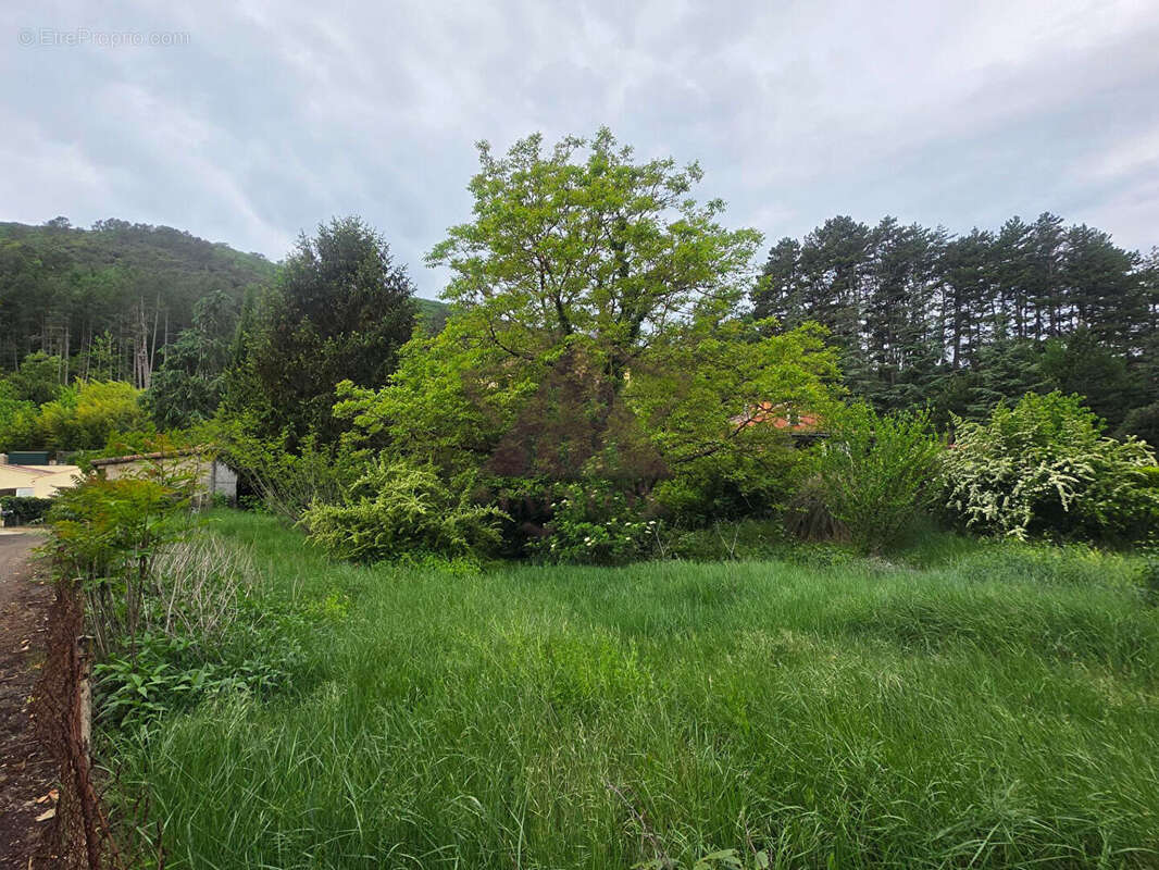 Terrain à MOLIERES-SUR-CEZE