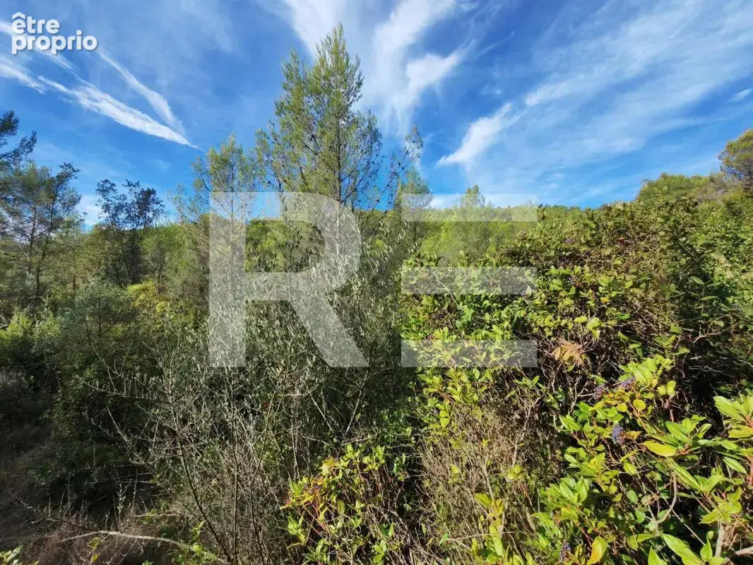 Terrain en zone naturelle sur la commune de Cannes et Clairan les Laouras - photo 3