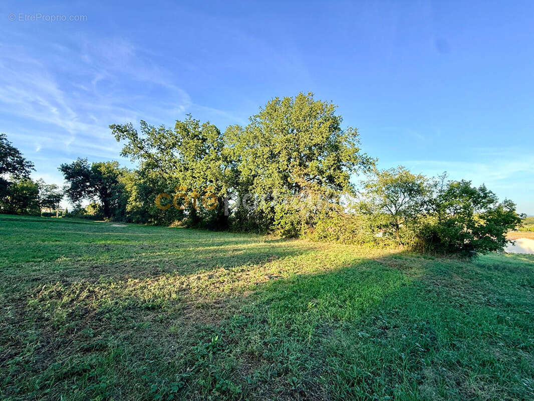 Terrain à SAINT-PAUL-CAP-DE-JOUX