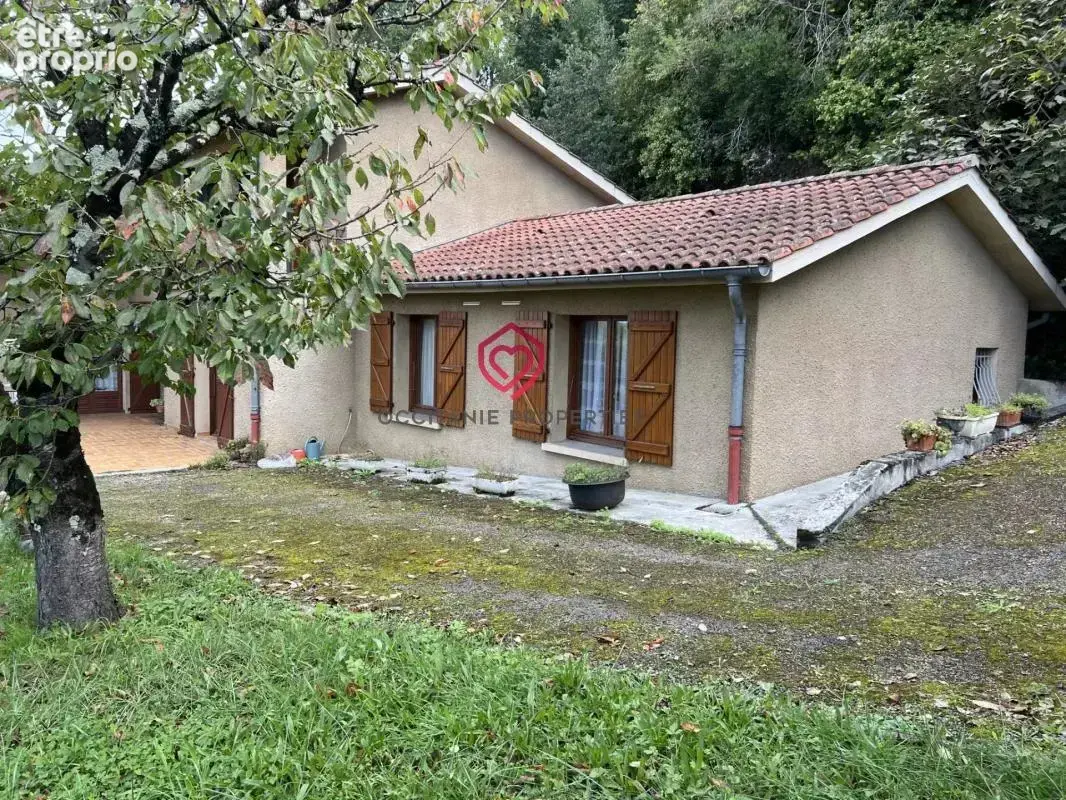 Maison à Saint Lizier avec garage et jardin - photo 16