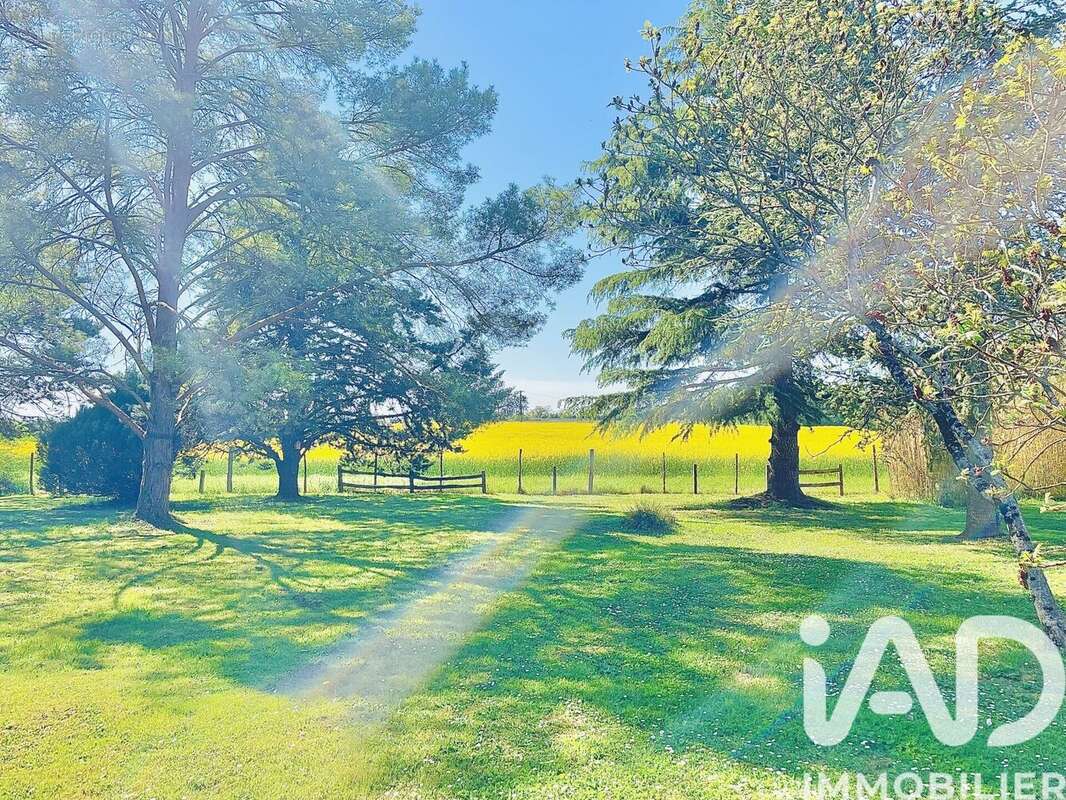 Photo 4 - Maison à POULIGNY-SAINT-PIERRE