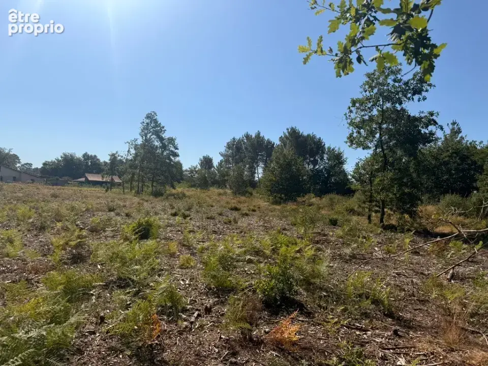 Terrain à SALLES