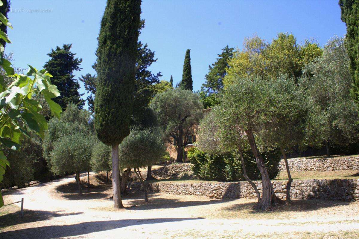 Maison à PEYMEINADE