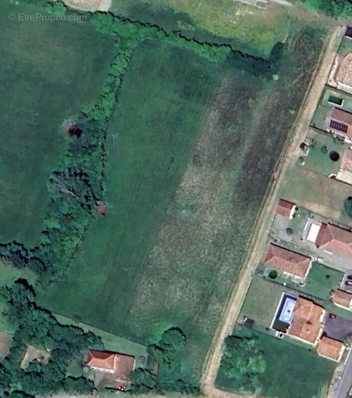 Terrain à MONTESQUIEU-VOLVESTRE