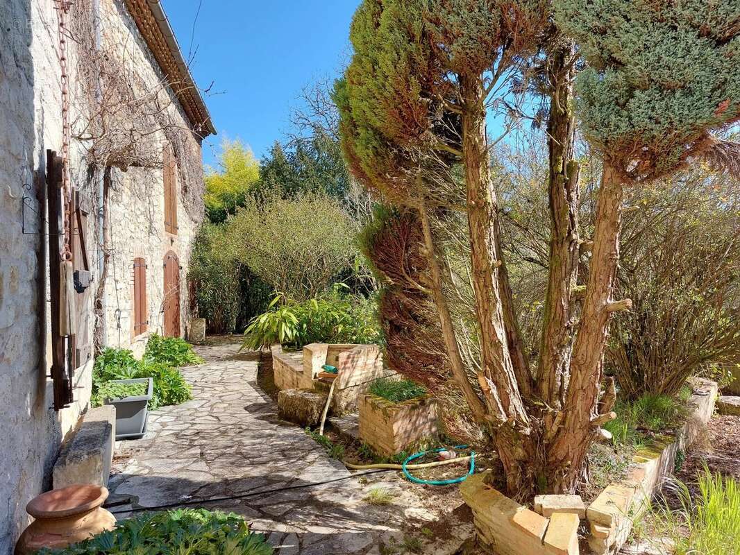 Maison à CORDES-SUR-CIEL