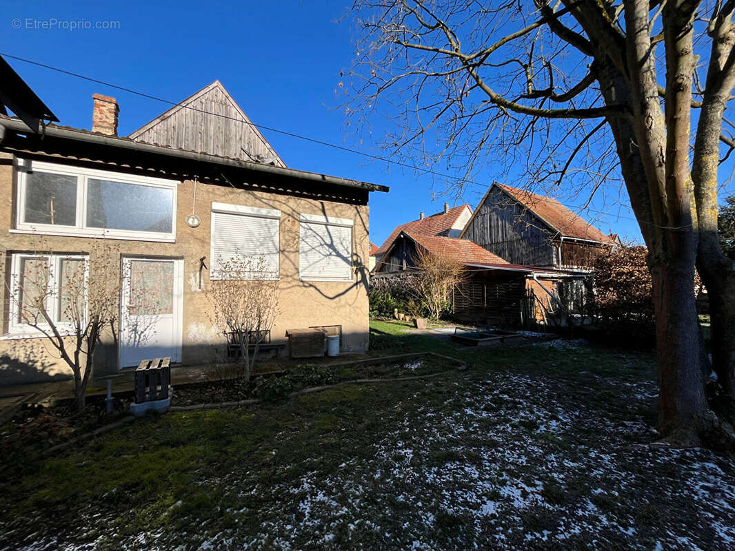 Maison à MUTTERSHOLTZ