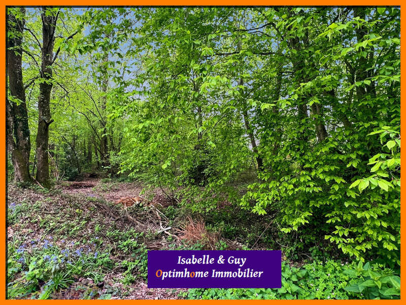 A 3 min de La Barre en Ouche - photo 3