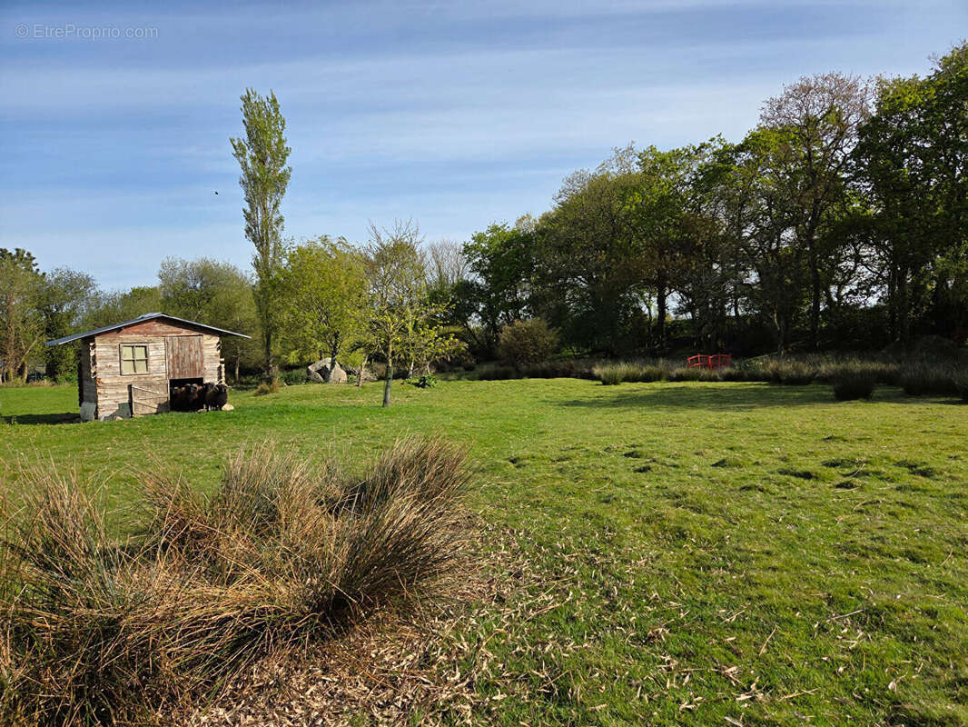 Maison à LANRIVOARE