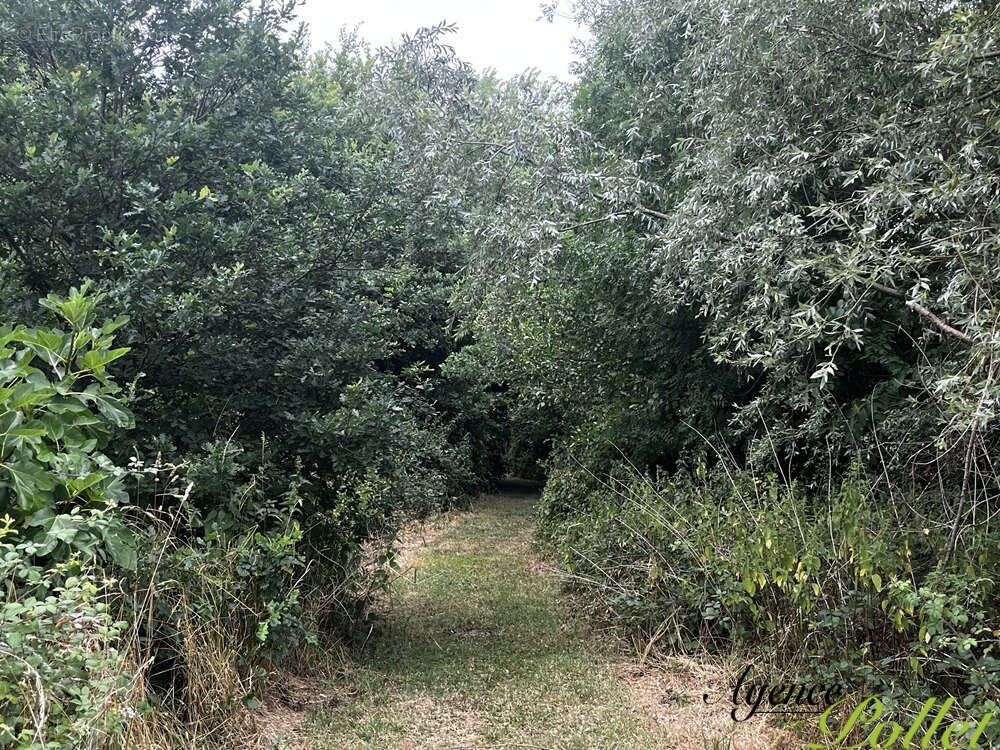 Propriété 9,5 ha : maisons, moulin, dépendances, 3 étangs - photo 21